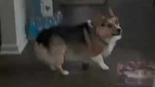 Ranger Making His Move