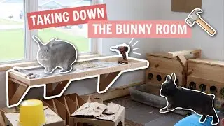 Taking Down the Bunny Room!