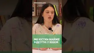 КІСТКИ ЯКІ ПРАКТИЧНО ВІДСУТНІ У КІШОК