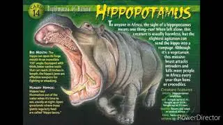 common hippopotamus sound effects