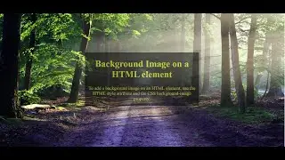 Parallax Website using HTML &CSS #html5 #webdesign #viral #webdevelopment #frontenddeveloper #video