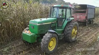 John Deere 4960 Chopping Corn Silage on Dairy Farm