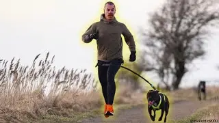 Why You Live Longer and Healthier with a Staffy