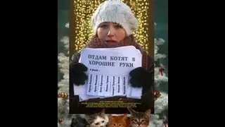 Отдам котят в хорошие руки 2012 HDTVRip 745MB