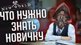 Всё что нужно знать от покупки до эндгейм контента в New World!