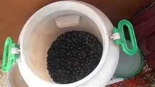 Домашняя вино из терна - урожай 2018 года ч.1.