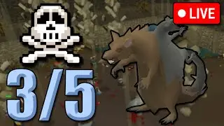 WE DIED | GHCIM DAY 15 | LIVE 🎤