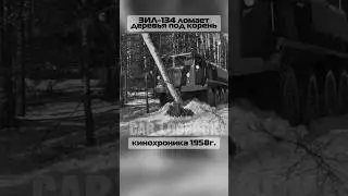 лесная проходимость 1958 год 