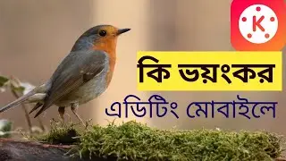 kinemaster video editing new style 2024 || Kinemaster video editing full course Bangla 2024