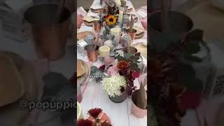 Pop Up Picnic 