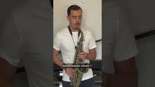 Ibrahim Tatlise ARAMAM Cover Saxophone