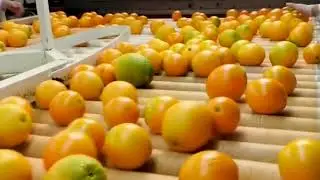 we could provide to you any quantity to all over the world