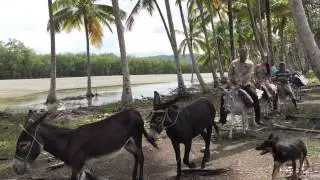 Dominican Republic - DR Eco Adventures - Donkey Rides