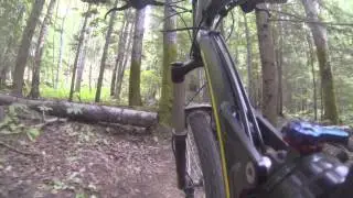 Terrace Mountain Trail Downhill