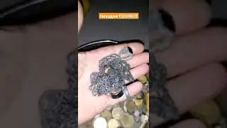 #поискзолотанапляже #врек #minelab #eqinox800600 #пляжныйпоисксметаллодетектором #gold