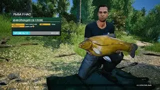 Euro Fishing. На расслабоне на крупную рыбку.
