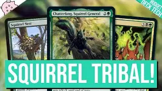 Chatterfang, Squirrel General | It's Squirrel Tribal Time! | Budget Commander Deck Tech | EDH | MTG
