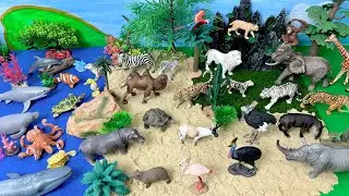 Sea animals and land animals figurines| Miniature World Habitat Diorama