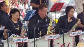 FRAGMENTO DEL DANZÓN "EMILIO AMARRA TU PERRO" CON AL DANZONERA CRIOLLA DE ADOLFO VEGA.