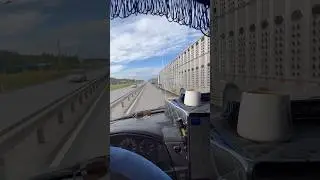 Выгрузка в поле😳 