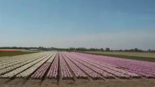 Holland Kleurig