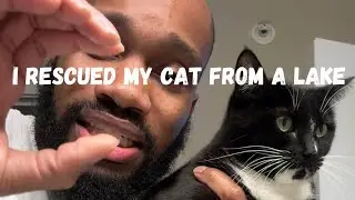 I Rescued My Cat From a LAKE!