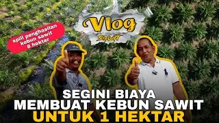 VLOG 45: COST OF ESTABLISHING A 1-HECTARE OIL PALM PLANTATION