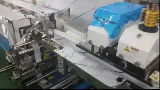Sample video of gloves packing machine 1