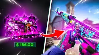 This AK-47 Suprisingly Was Expensive?! Insane Wins & Crazy Luck