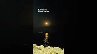 Kolpa - Ölünmüyor Mutsuzluktan