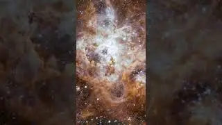 The Tarantula Nebula (Birthplace Of An Astonishing Number Of Massive Stars) 