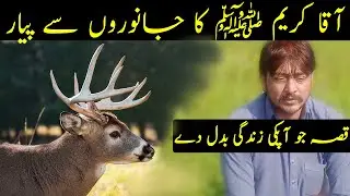Deer Talking Story And Love Of Prophet SAW For Animals