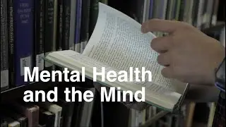 The FASS Framework | Mental Health and the Mind