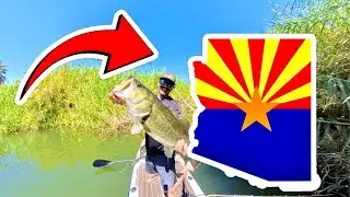 The EASIEST Place to CATCH Fish in ARIZONA