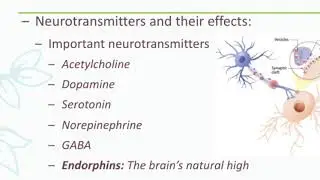 Neurotransmitters and their effects | Neurons | in urdu/Hindi language | by dear knowledge