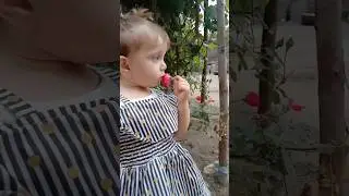 #barbie