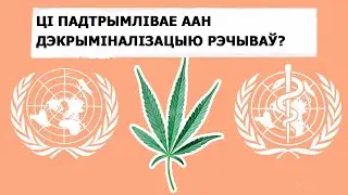 Международное право и вещества: на каких позициях стоят сейчас?