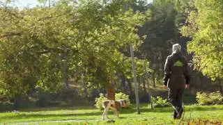 FDT PRO Track Suit for Dog Training and Walking