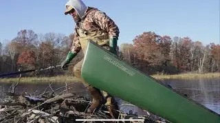 Chasing Beavers
