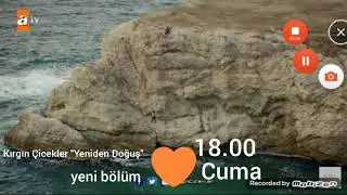 Kırgın Çicekler 