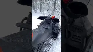Зима.ЯМАЛ