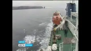 Частные инвесторы планируют построить на Шпицбергене комплекс по добыче, приему и переработке морепр