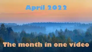 70 minutes of epic background relaxation music - April 2022 - Mind Drifter