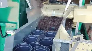 133FX 2024