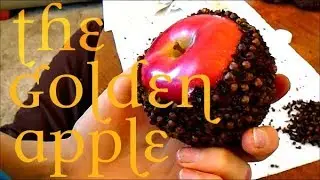 How to Make A Pomander Ball