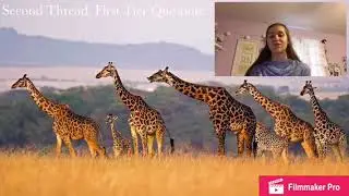Passion-Based Free Inquiry Research Video Presentation Example