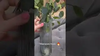 Любите магазин Modi?
