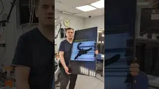 Samsung Galaxy S25 UltraProMax Замена экрана