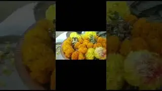 લક્ષ્મી નારાયણ અને ગણેશ પૂજા