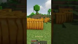 Minecraft Smallest Base 😨 (World's Smallest Violin) 